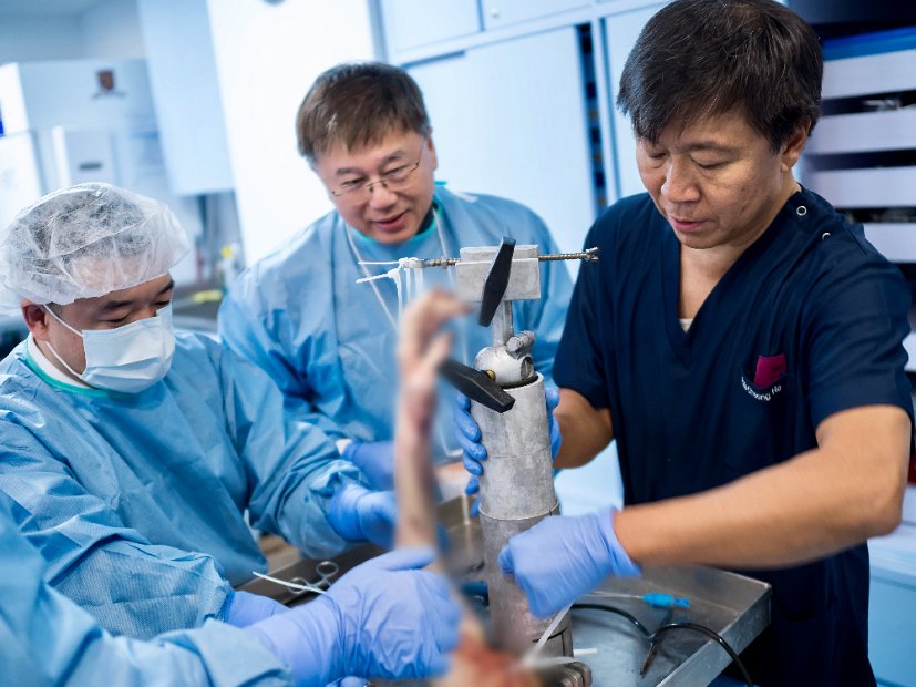 HK Wrist Course 2024 - Workshops  - 103 of 241